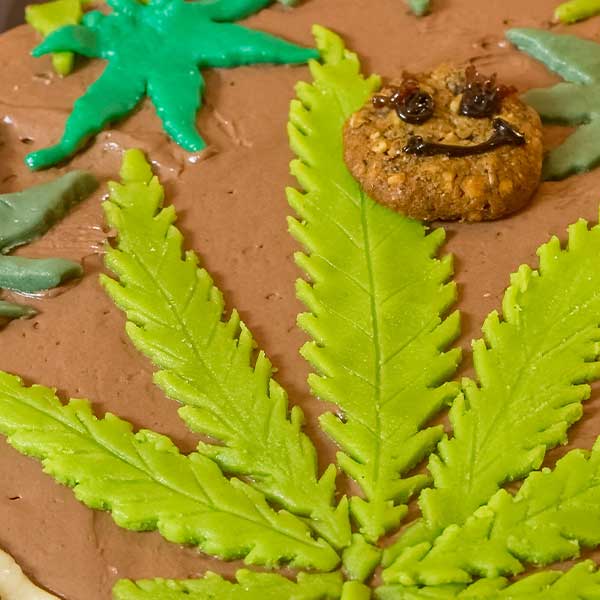 Geburtstag