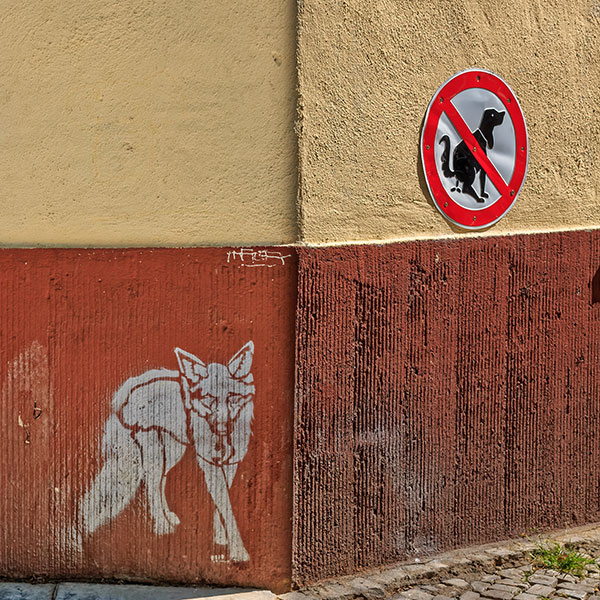 Streetart an einer Hausecke - rechts ein Schild gegen Hundekacke, links ein Grafittifuchs